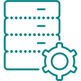 Data and technical skills